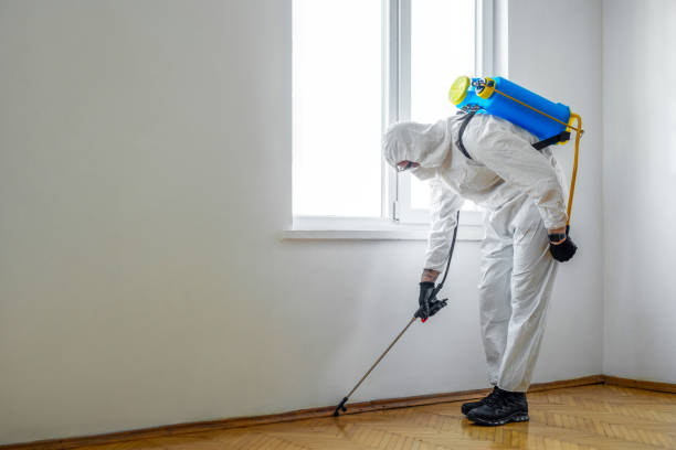 Mount Vernon, KY Pest Control Company